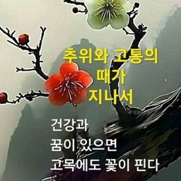 피드에 업로드 된 이미지