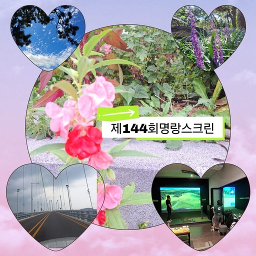 피드 이미지