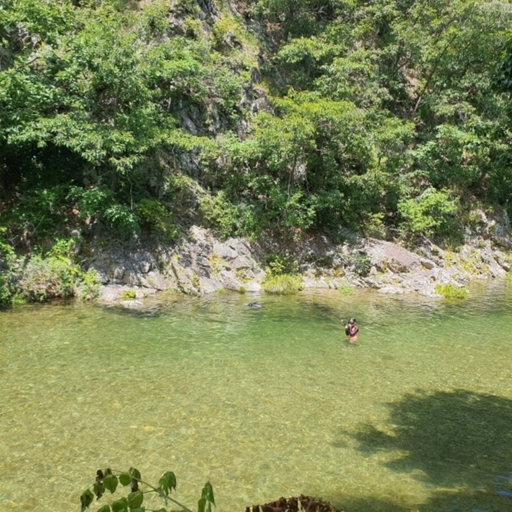 ํผ๋ ์ด๋ฏธ์ง