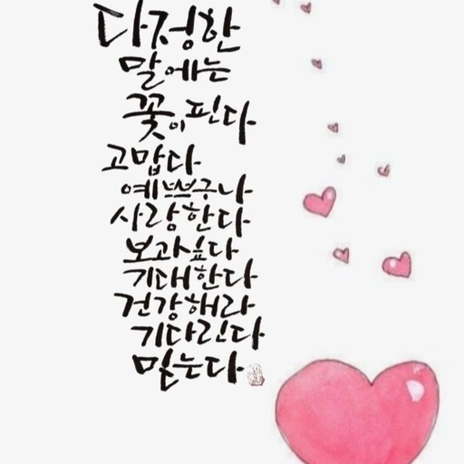 피드 이미지