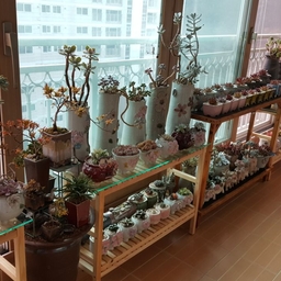 피드에 업로드 된 이미지