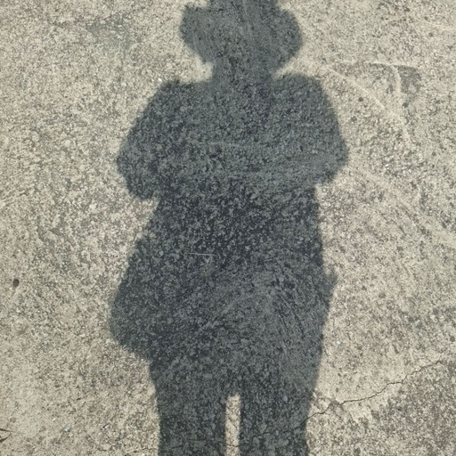 피드 이미지