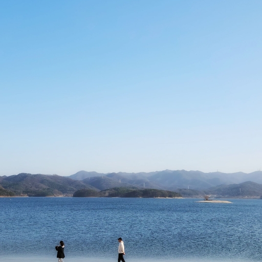 피드 이미지