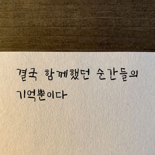 피드 이미지