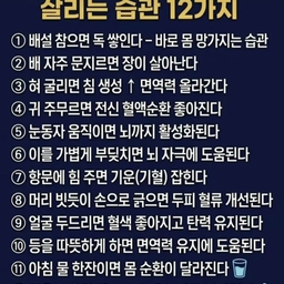 피드에 업로드 된 이미지