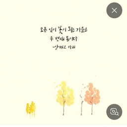 피드에 업로드 된 이미지