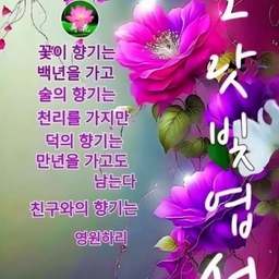피드에 업로드 된 이미지