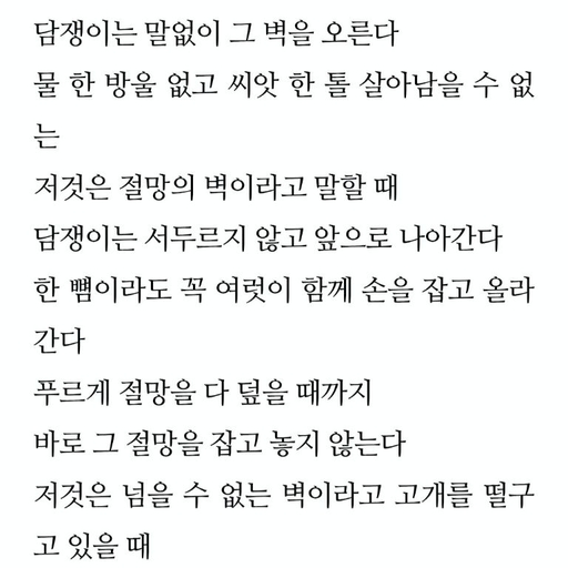 피드 이미지