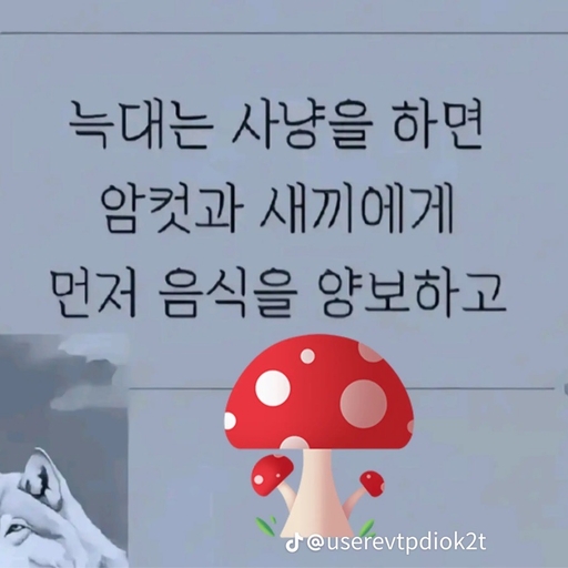 피드 이미지