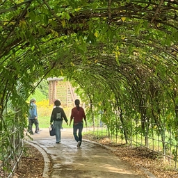 피드에 업로드 된 이미지