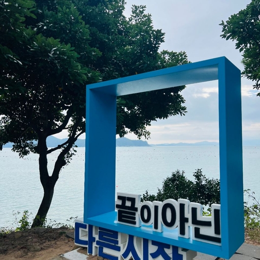 피드 이미지