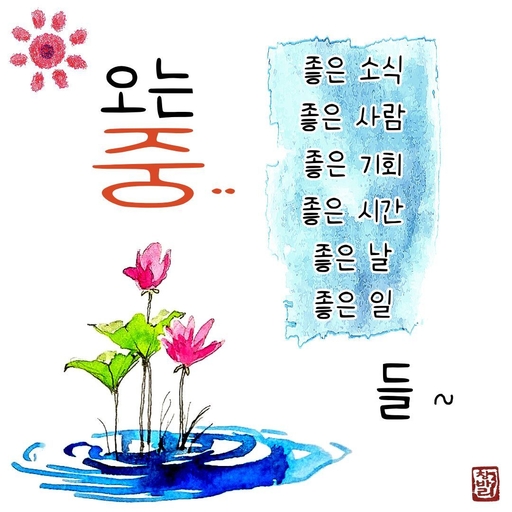 피드 이미지