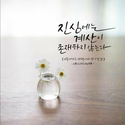 피드에 업로드 된 이미지