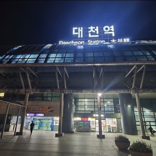 피드 이미지