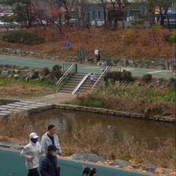 피드에 업로드 된 이미지