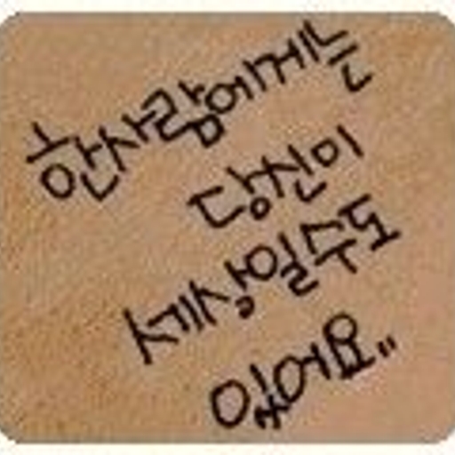 피드 이미지