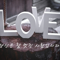 피드에 업로드 된 이미지