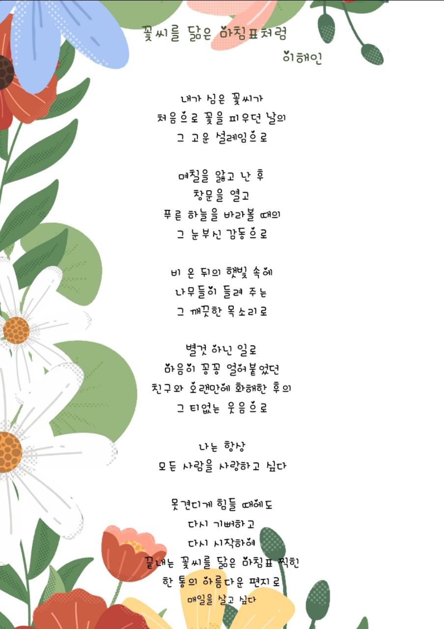 피드 이미지