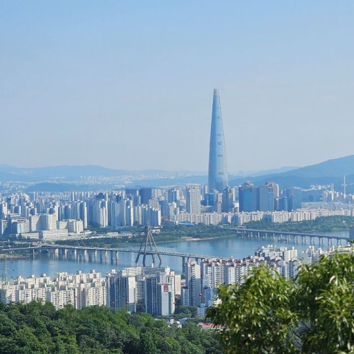 피드 이미지