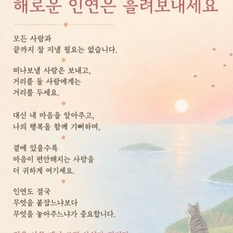 피드에 업로드 된 이미지