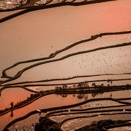 피드에 업로드 된 이미지