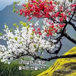 ํผ๋์ ์
๋ก๋ ๋ ์ด๋ฏธ์ง