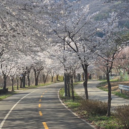 모임 대표 이미지