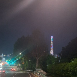 피드에 업로드 된 이미지