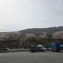 피드에 업로드 된 이미지