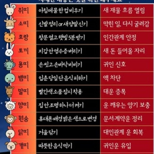 피드 이미지