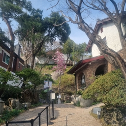 피드에 업로드 된 이미지