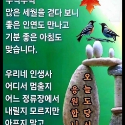 피드에 업로드 된 이미지