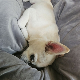 피드에 업로드 된 이미지