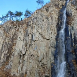 피드에 업로드 된 이미지