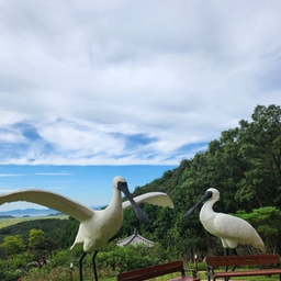 피드에 업로드 된 이미지