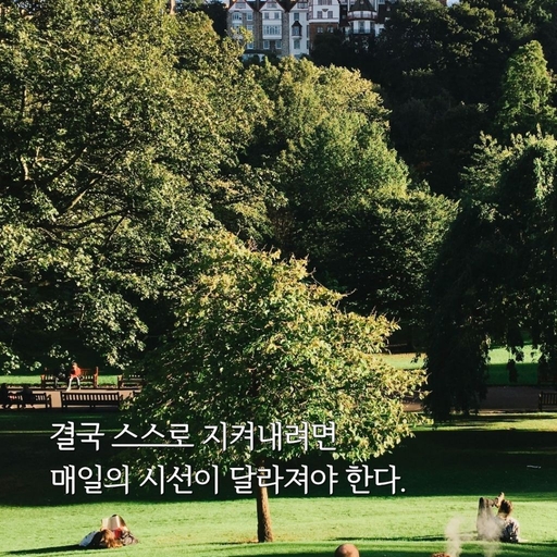 피드 이미지