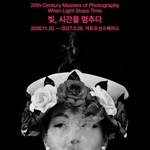 피드 이미지