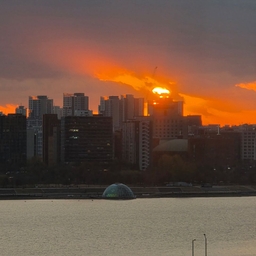 피드에 업로드 된 이미지