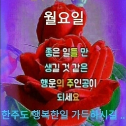 피드에 업로드 된 이미지