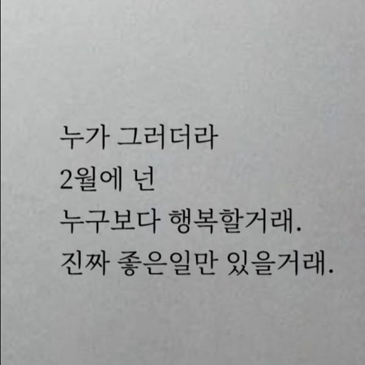 피드 이미지