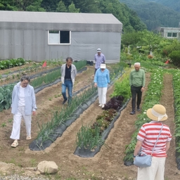 피드에 업로드 된 이미지