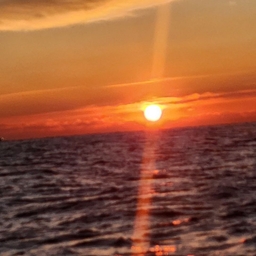 피드에 업로드 된 이미지