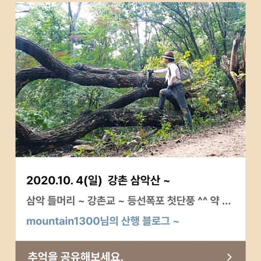피드 이미지