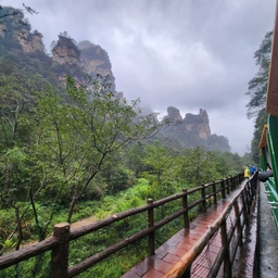 피드에 업로드 된 이미지