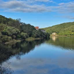 피드에 업로드 된 이미지