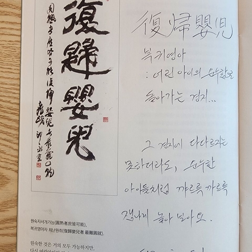 피드 이미지