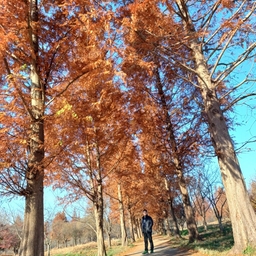 피드에 업로드 된 이미지