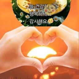 피드에 업로드 된 이미지