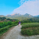 멤버 프로필