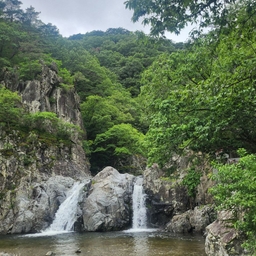 피드에 업로드 된 이미지